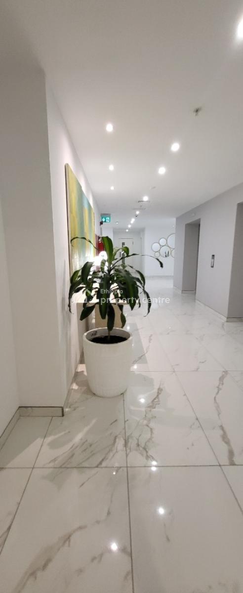 Luxury Fully Furnished 3-bedroom Apartment  Eagle Hills  City View, Legehar, Kirkos, Addis Ababa, Self Contained (single Rooms) for Rent