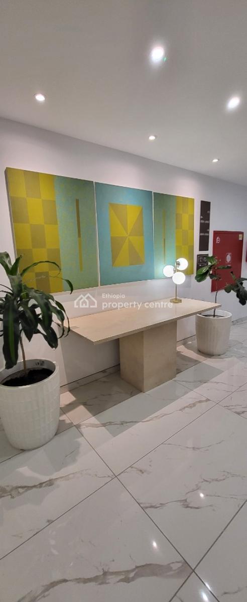 Luxury Fully Furnished 3-bedroom Apartment  Eagle Hills  City View, Legehar, Kirkos, Addis Ababa, Self Contained (single Rooms) for Rent