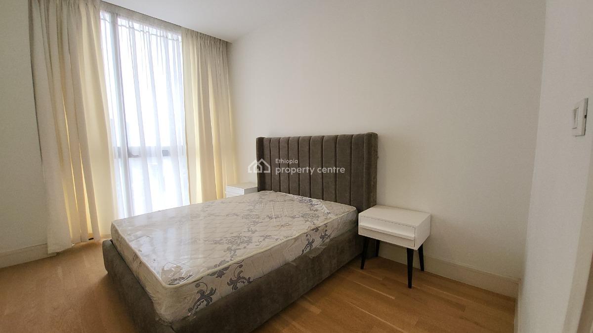 Luxury Fully Furnished 3-bedroom Apartment, Legehar, Kirkos, Addis Ababa, Self Contained (single Rooms) for Rent