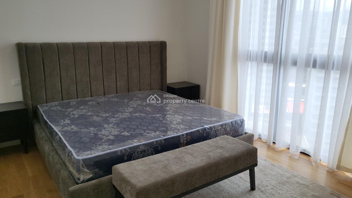 Luxury Fully Furnished 3-bedroom Apartment, Legehar, Kirkos, Addis Ababa, Self Contained (single Rooms) for Rent