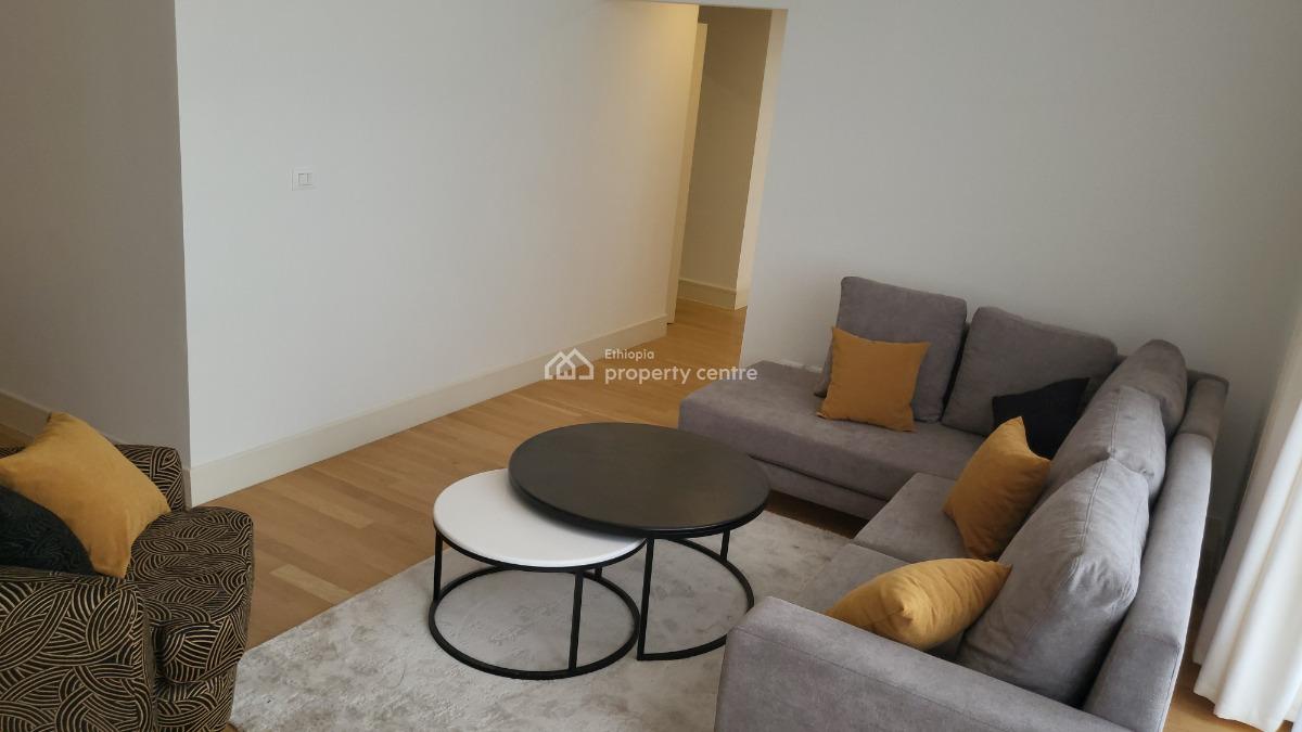 Luxury Fully Furnished 3-bedroom Apartment, Legehar, Kirkos, Addis Ababa, Self Contained (single Rooms) for Rent