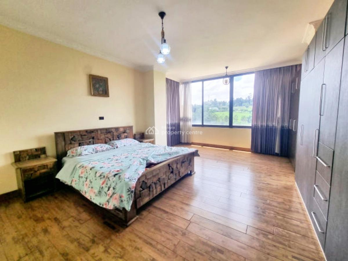 3-bedroom Apartment -- Near Friendship Park, Kirkos, Addis Ababa, Apartment for Rent