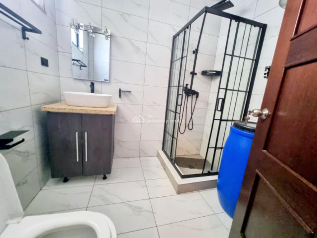 3-bedroom Apartment -- Near Friendship Park, Kirkos, Addis Ababa, Apartment for Rent