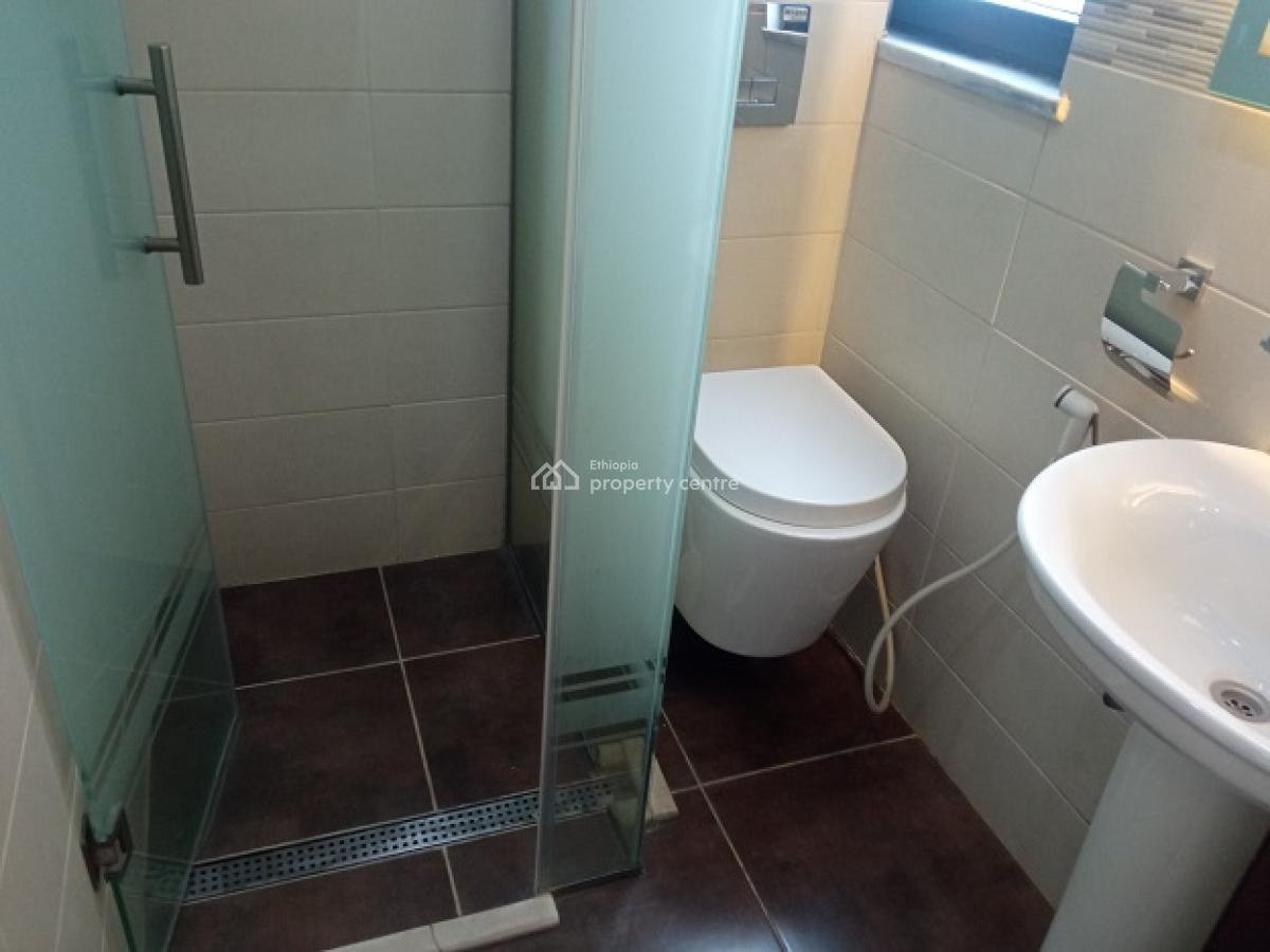 Great 3 Bed Room Apartment with a Very Big Private Balcony, Bole, Bole, Addis Ababa, Apartment for Rent