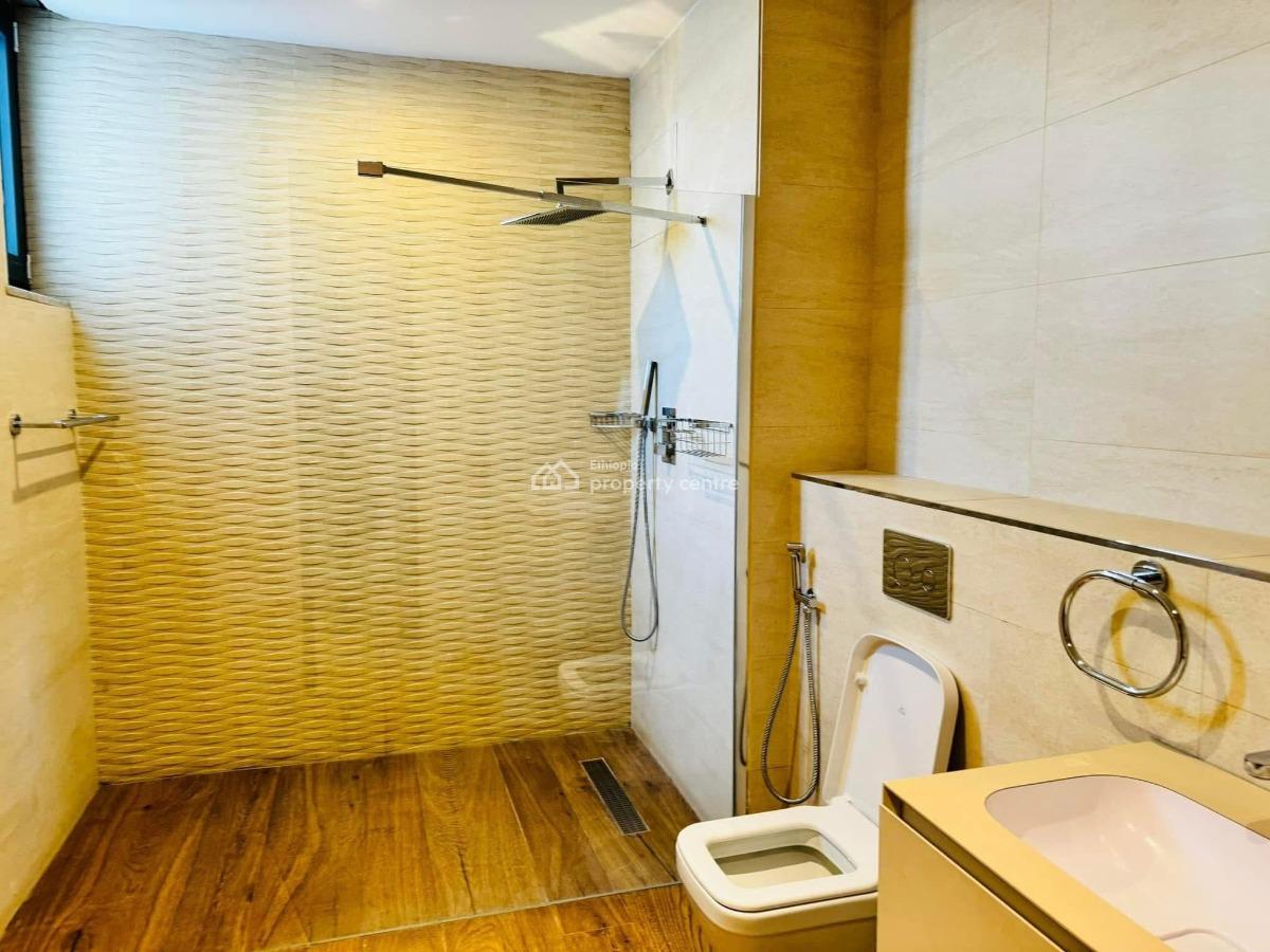 Excellent Looking 3 Bedroom Fully Furnished Apartment, Bole, Bole, Addis Ababa, Apartment for Rent