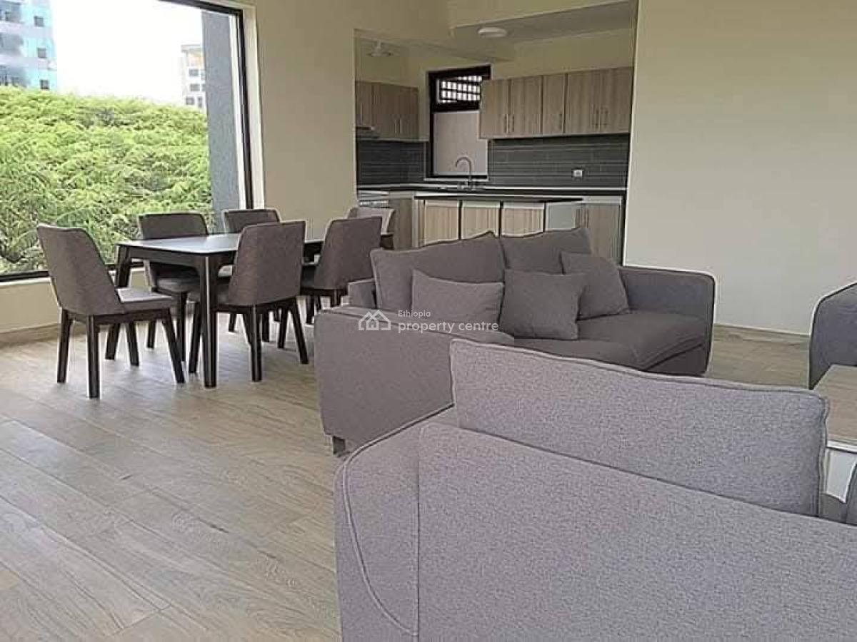 City Sky View Apartment -- Bole, Bole, Addis Ababa, Apartment for Rent