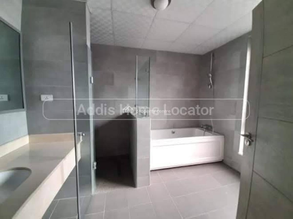 City Sky View Apartment -- Bole, Bole, Addis Ababa, Apartment for Rent