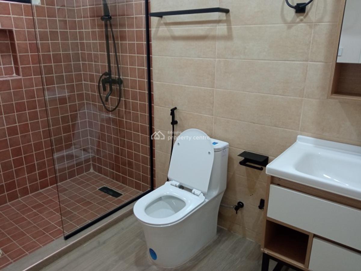 Exceptional and Exclusive 3bed Room Apartment, Nearby German School., Kazanchis, Addis Ababa, Apartment for Rent