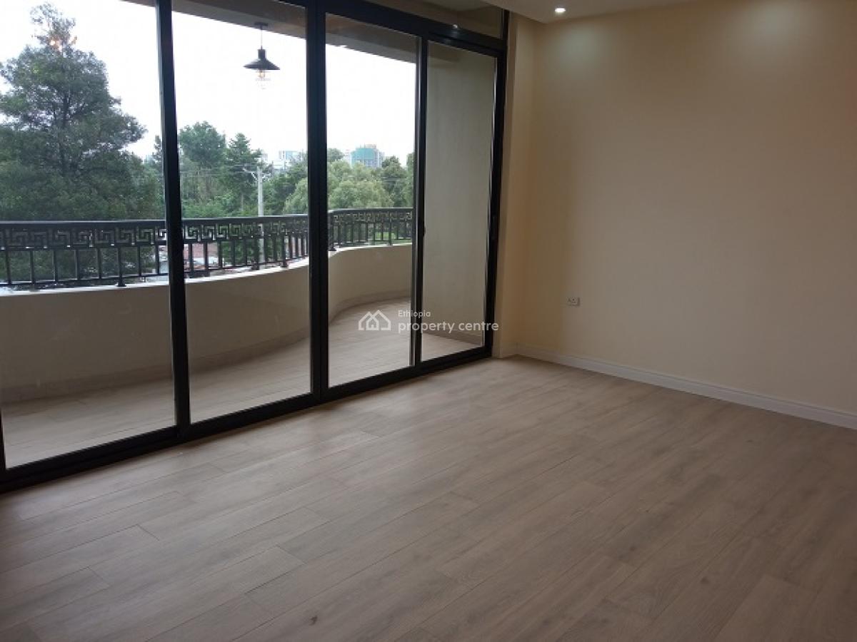 Exceptional and Exclusive 3bed Room Apartment, Nearby German School., Kazanchis, Addis Ababa, Apartment for Rent