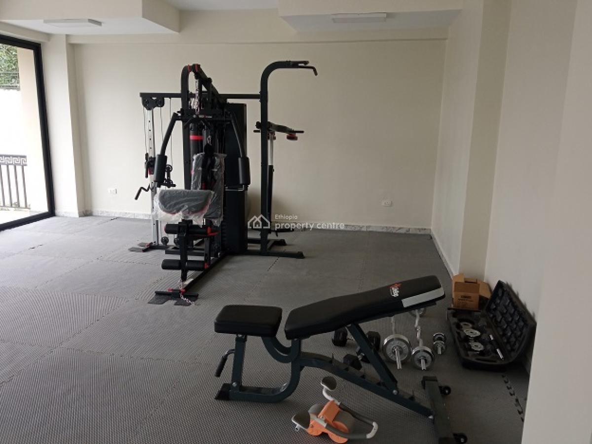 Exceptional and Exclusive 3bed Room Apartment, Nearby German School., Kazanchis, Addis Ababa, Apartment for Rent