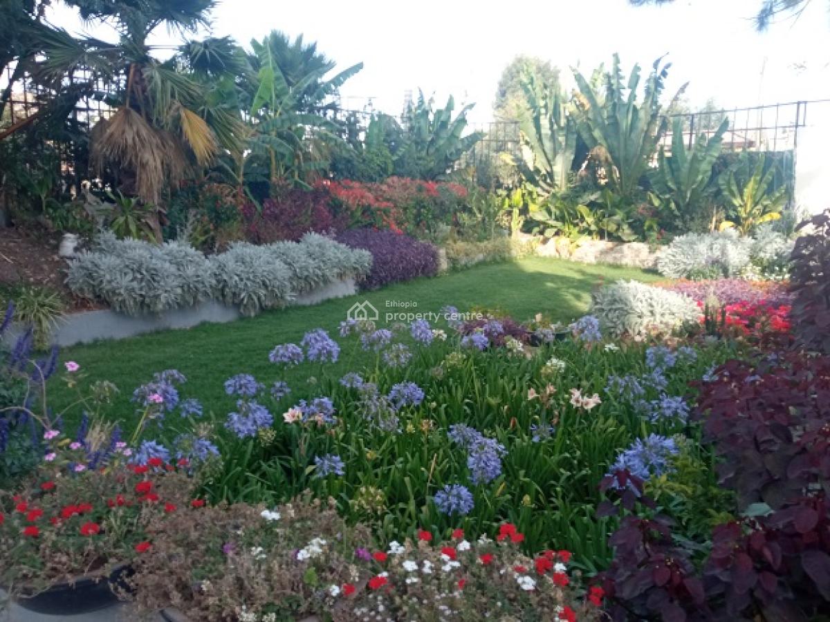 Bright and Fully Furnished 2bd Apartment + Great Garden!, Bole, Addis Ababa, Apartment for Rent