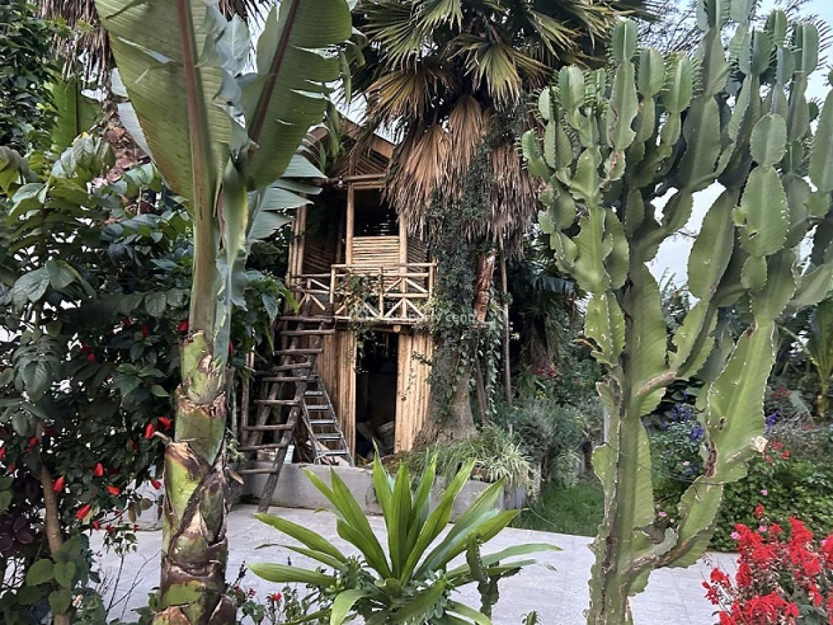 Bright and Fully Furnished 2bd Apartment + Great Garden!, Bole, Addis Ababa, Apartment for Rent