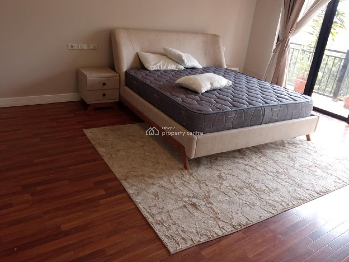 Super! Penthouse with a Fire Place and Nice View in Bole., Bole, Addis Ababa, Apartment for Rent