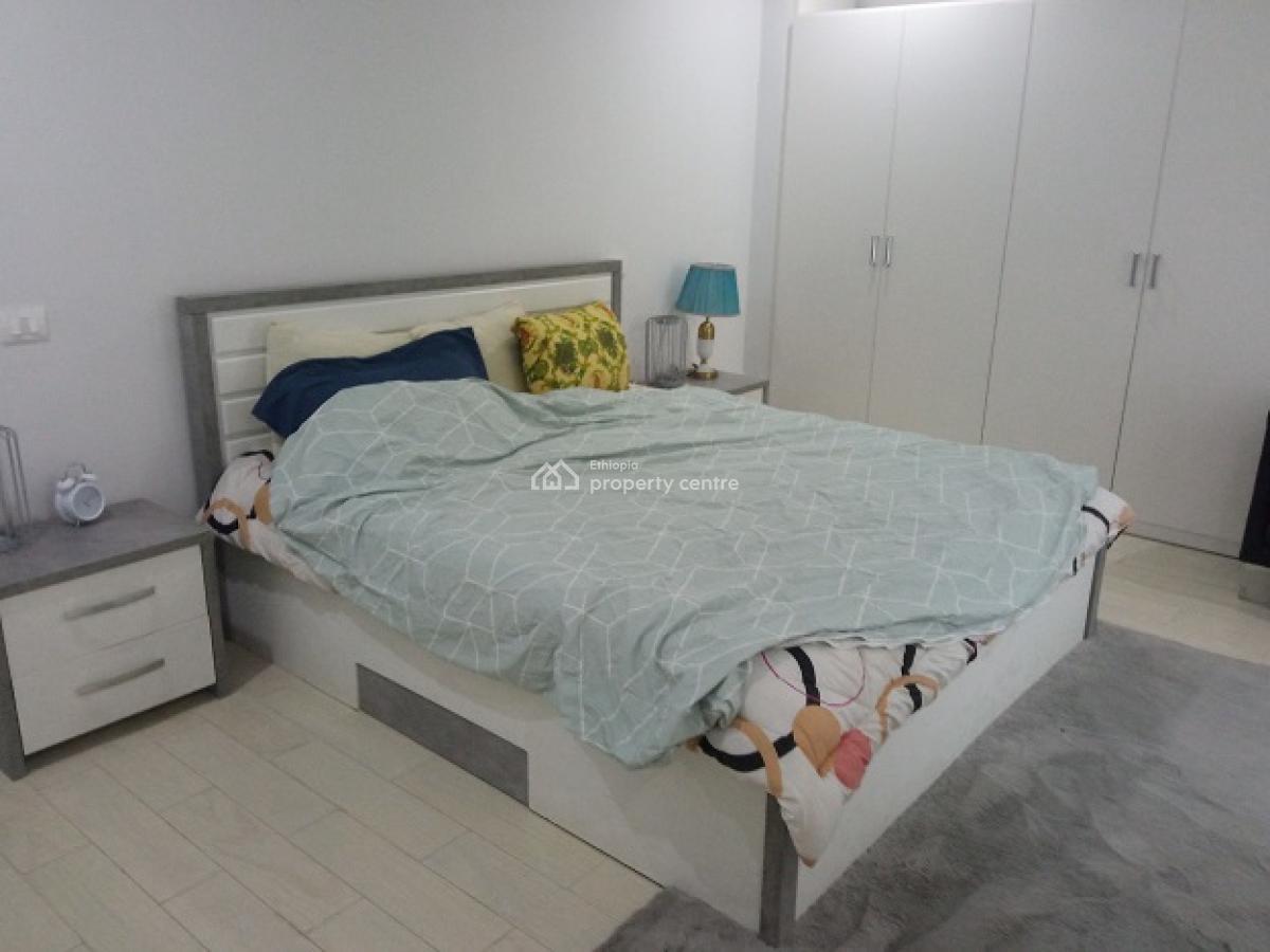 a Classy and Fully Furnished 2 Bd Apartment, Kazanchis (un Eca)., Kazanchis, Addis Ababa, Apartment for Rent