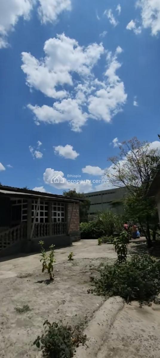 Meskel Flower Lancha , Old Villa House ......2200sqm.., Meske Flower Lancha, Kirkos, Addis Ababa, Mixed-use Land for Sale