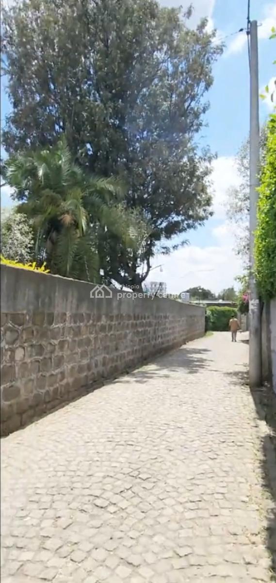 Bulgaria , Old Villa House .....800sqm, Bulgaria, Kirkos, Addis Ababa, Land for Sale