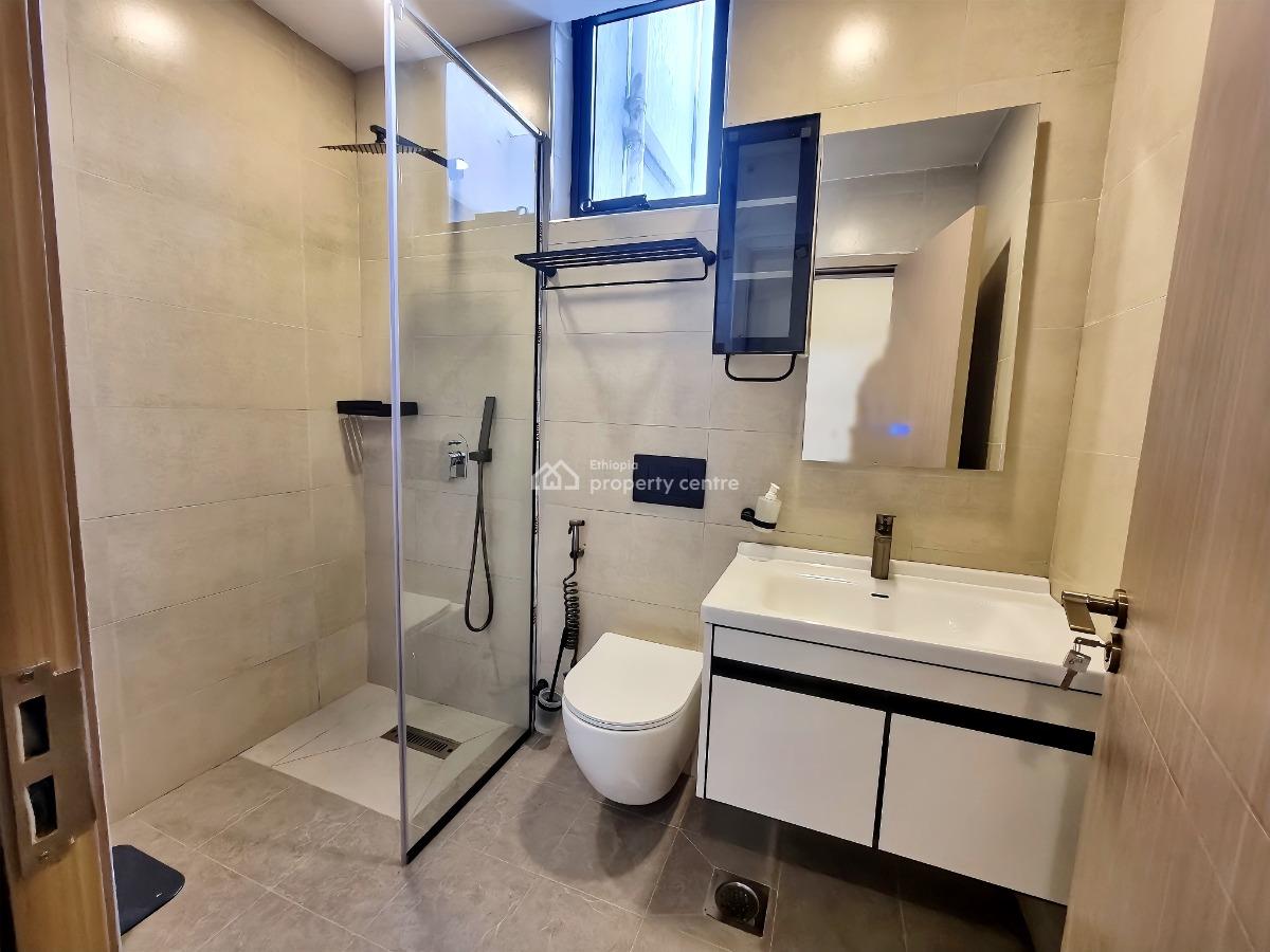 New and Modern Furnished Apartment -- Bole, Bole, Addis Ababa, Apartment for Rent