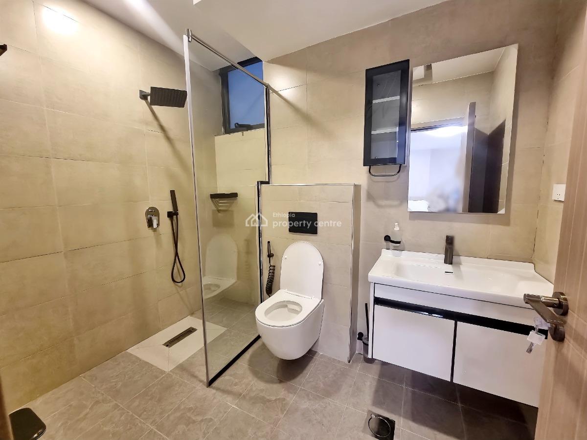 New and Modern Furnished Apartment -- Bole, Bole, Addis Ababa, Apartment for Rent