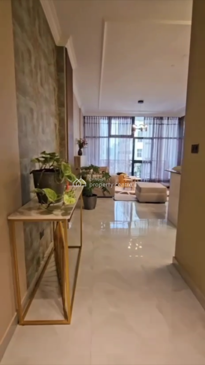 Luxury Furnished Apartment @ Bole, Wello Sefer, Bole, Addis Ababa, Apartment for Sale