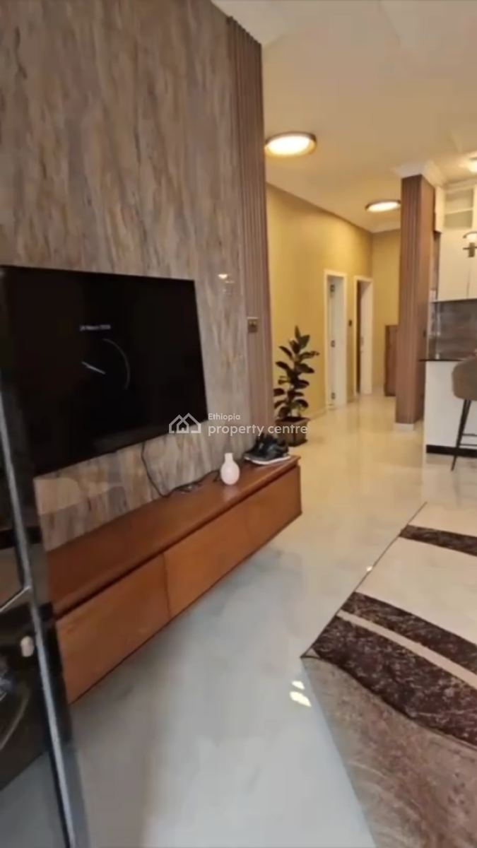 Luxury Furnished Apartment @ Bole, Wello Sefer, Bole, Addis Ababa, Apartment for Sale