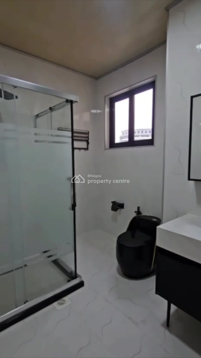 Luxury Furnished Apartment @ Bole, Wello Sefer, Bole, Addis Ababa, Apartment for Sale