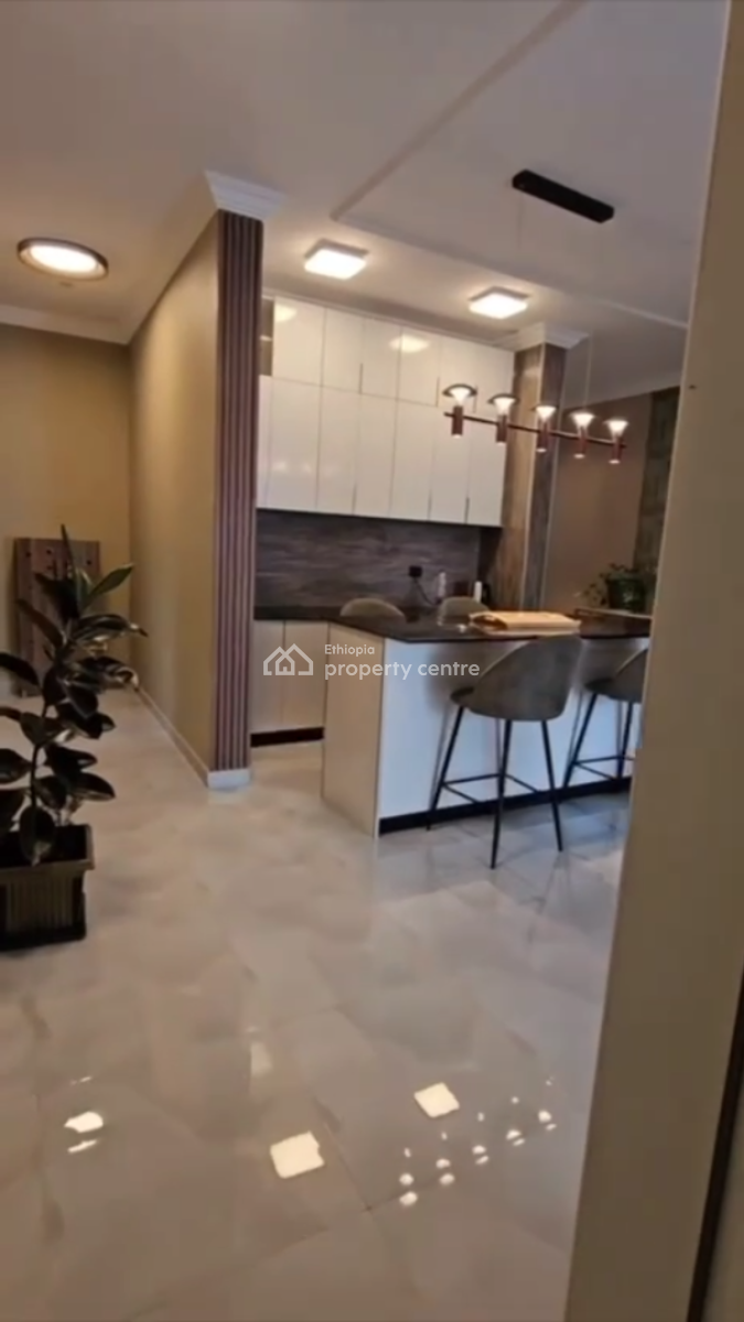 Luxury Furnished Apartment @ Bole, Wello Sefer, Bole, Addis Ababa, Apartment for Sale