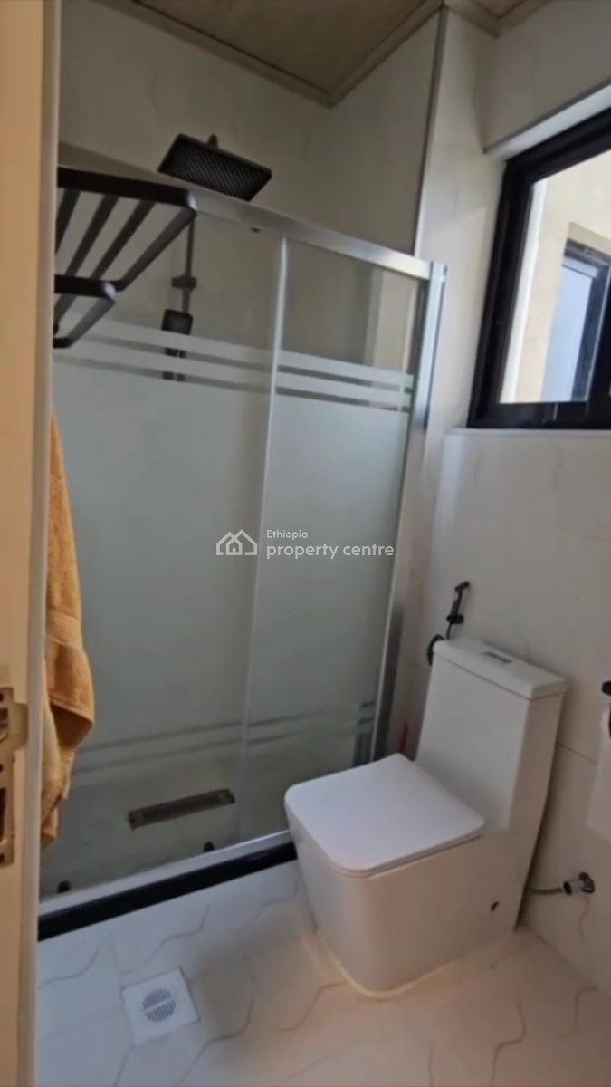 Luxury Furnished Apartment @ Bole, Wello Sefer, Bole, Addis Ababa, Apartment for Sale