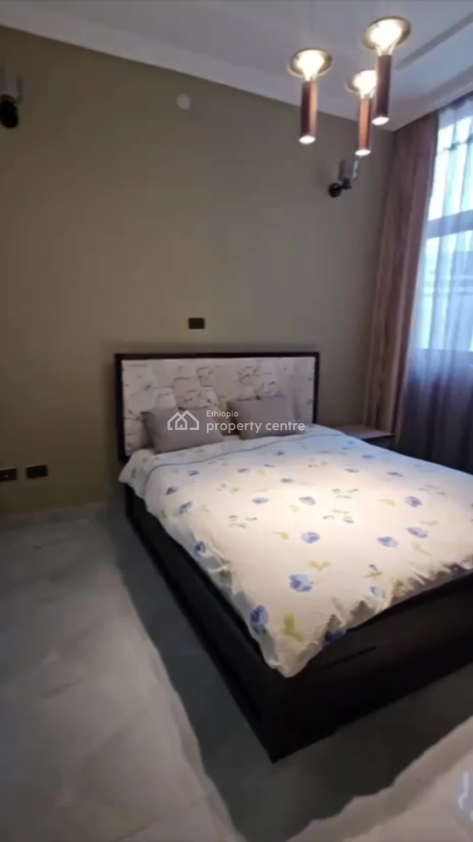 Luxury Furnished Apartment @ Bole, Wello Sefer, Bole, Addis Ababa, Apartment for Sale