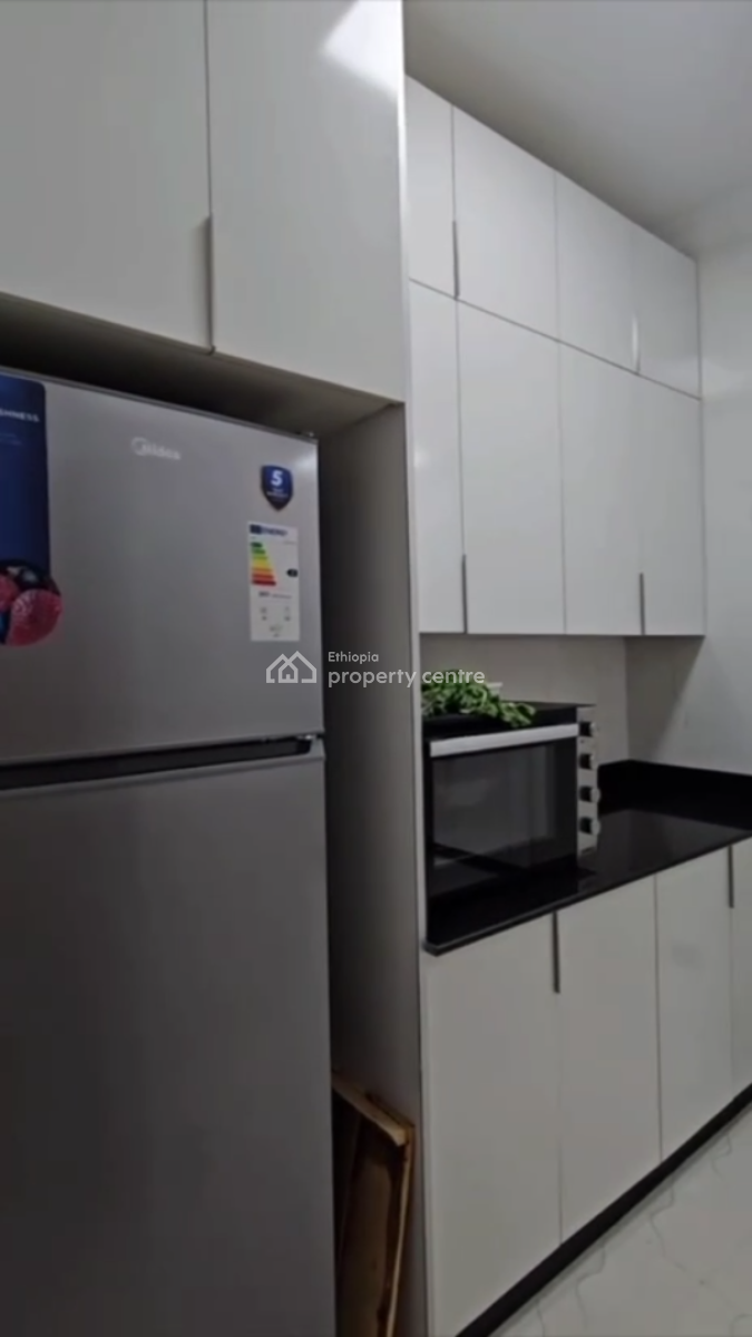 Luxury Furnished Apartment @ Bole, Wello Sefer, Bole, Addis Ababa, Apartment for Sale