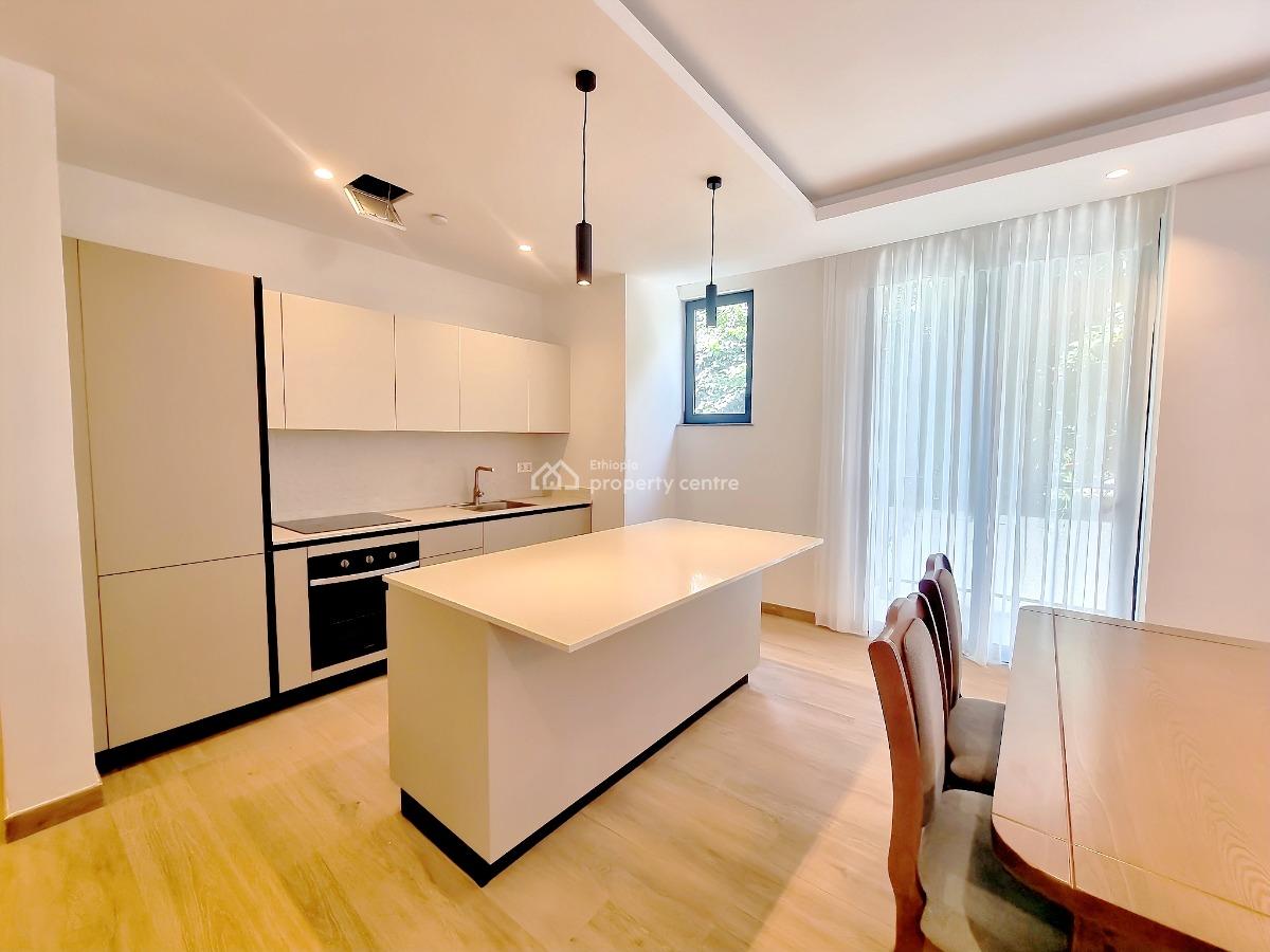 New Modern Furnished Apartment -- Bole, Bole, Addis Ababa, Apartment for Rent