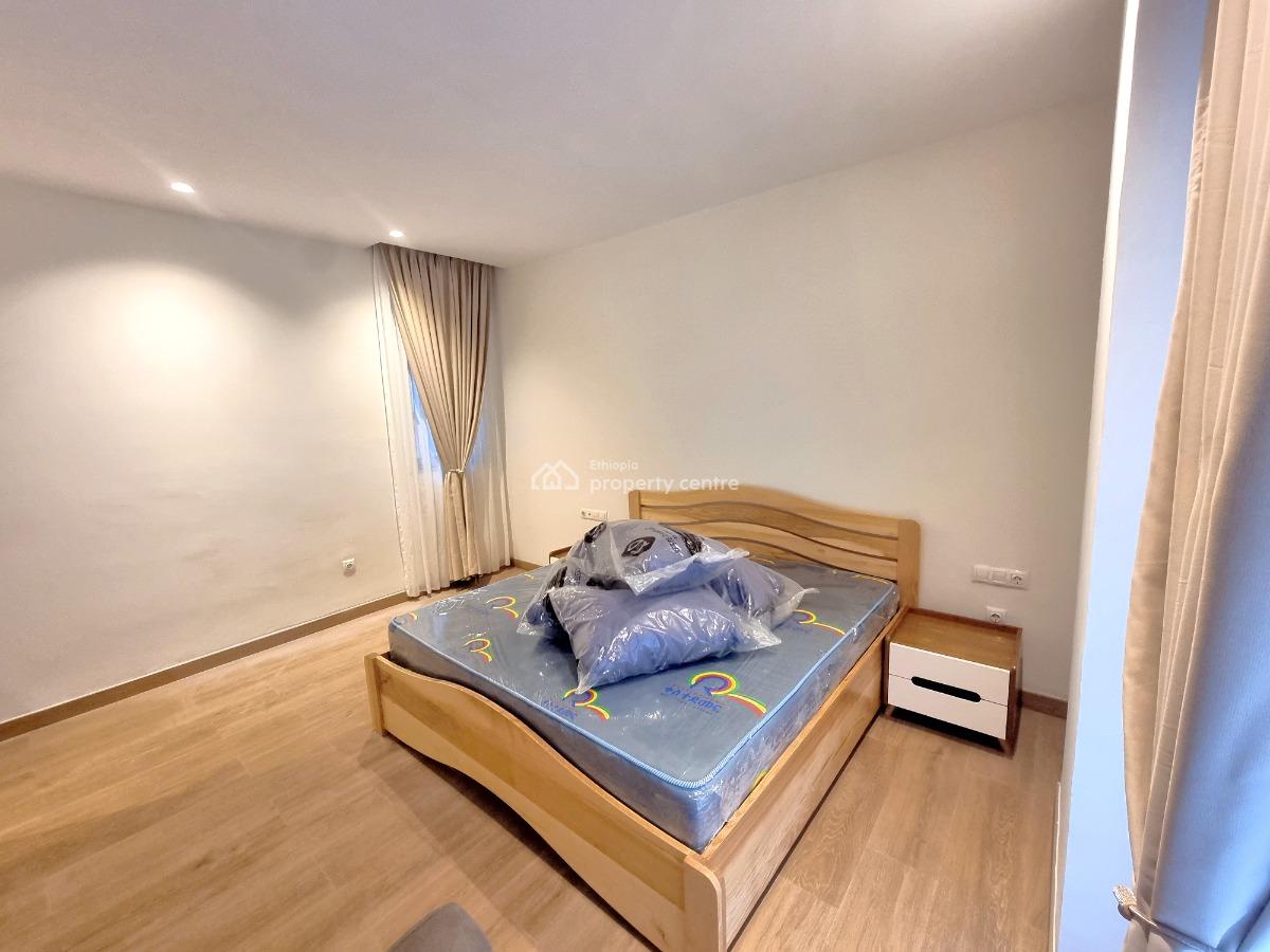 New Modern Furnished Apartment -- Bole, Bole, Addis Ababa, Apartment for Rent