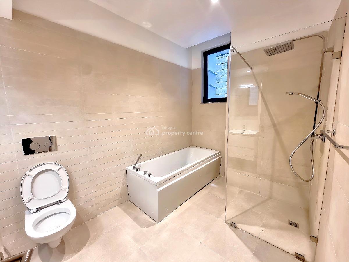 New Modern Furnished Apartment -- Bole, Bole, Addis Ababa, Apartment for Rent