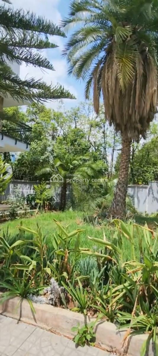 Bole Welosefer, G+1 House with Private Garden......800sqm, Bole Welosefer, Bole, Addis Ababa, House for Sale