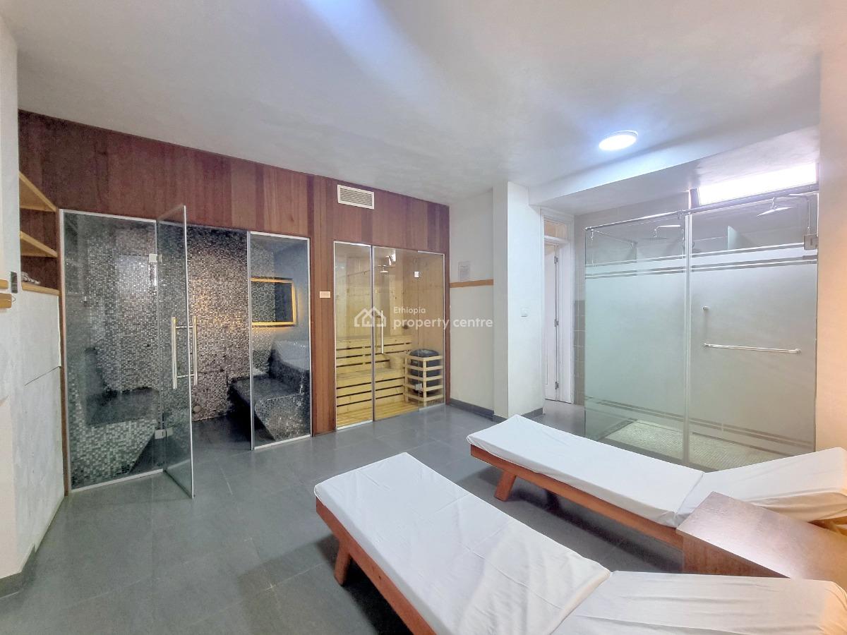 Modern Apartment -- Bole (prime Location), Bole, Addis Ababa, Apartment for Rent