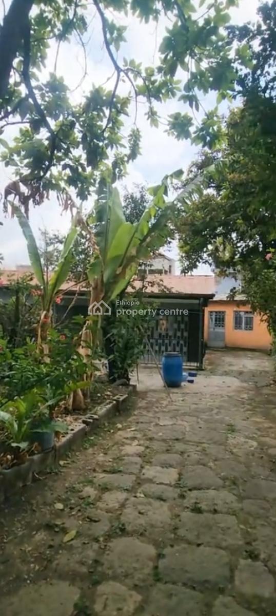 Bole , Old Villa House ......1040 Sqm, Bole Cargo, Bole, Addis Ababa, Land for Sale