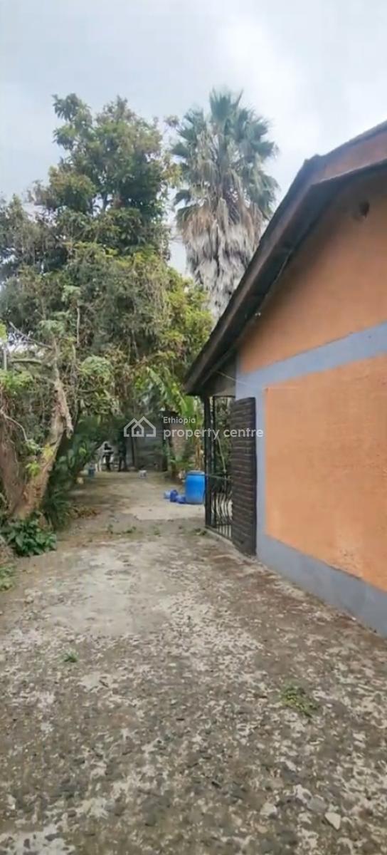 Bole , Old Villa House ......1040 Sqm, Bole Cargo, Bole, Addis Ababa, Land for Sale