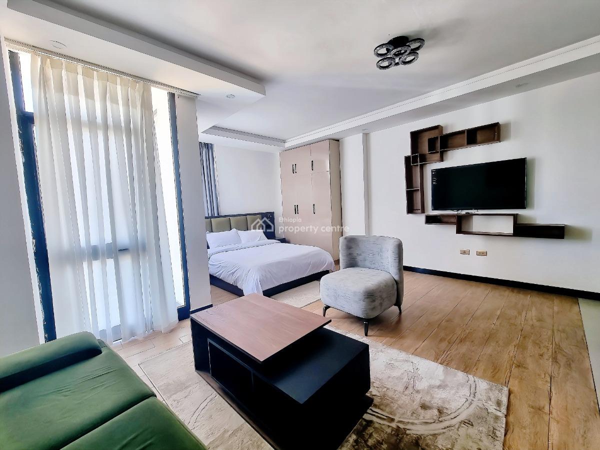 Bright Studio Apartment -- Near Giz / Uneca (kazanchis), Kirkos, Addis Ababa, Apartment for Rent