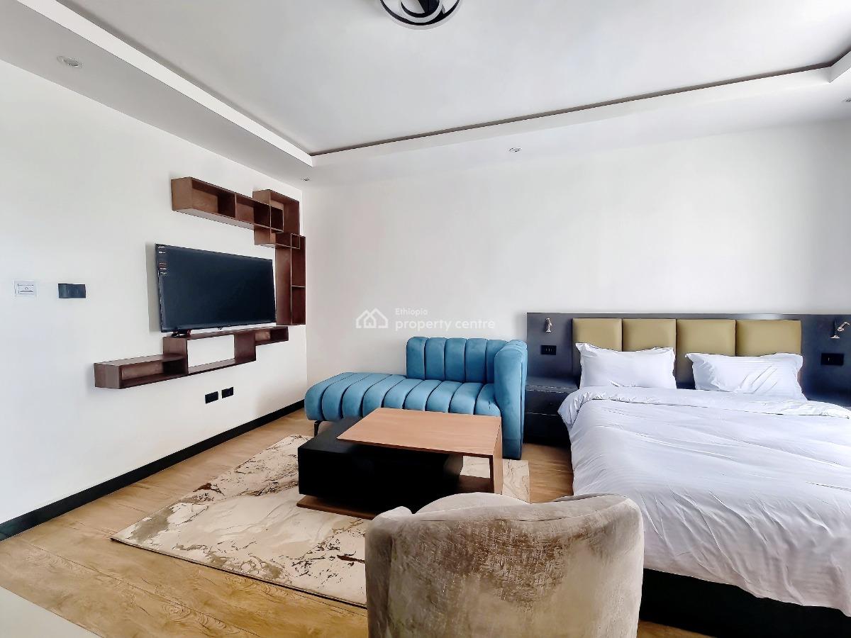 Bright Studio Apartment -- Near Giz / Uneca (kazanchis), Kirkos, Addis Ababa, Apartment for Rent