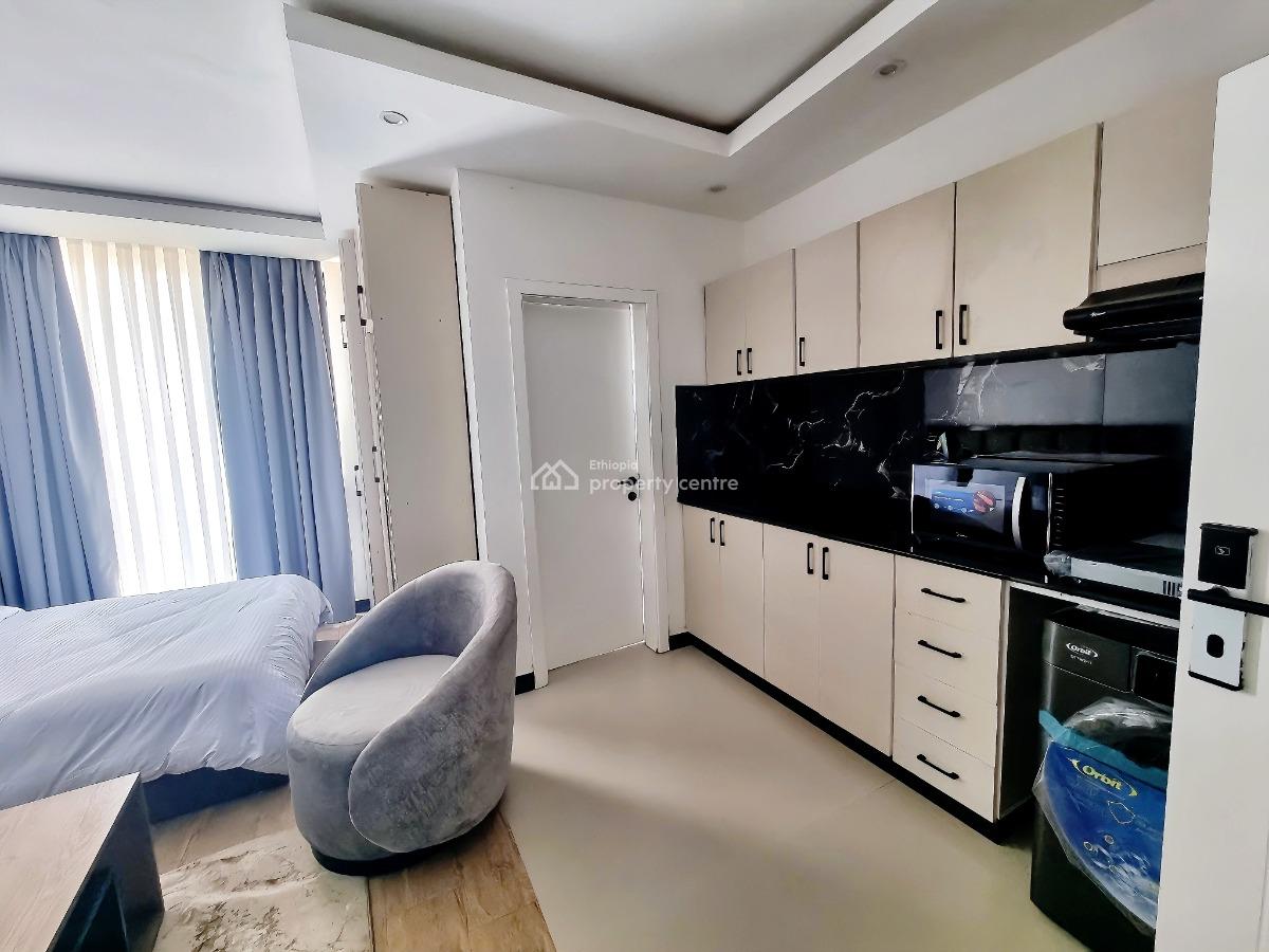 Bright Studio Apartment -- Near Giz / Uneca (kazanchis), Kirkos, Addis Ababa, Apartment for Rent
