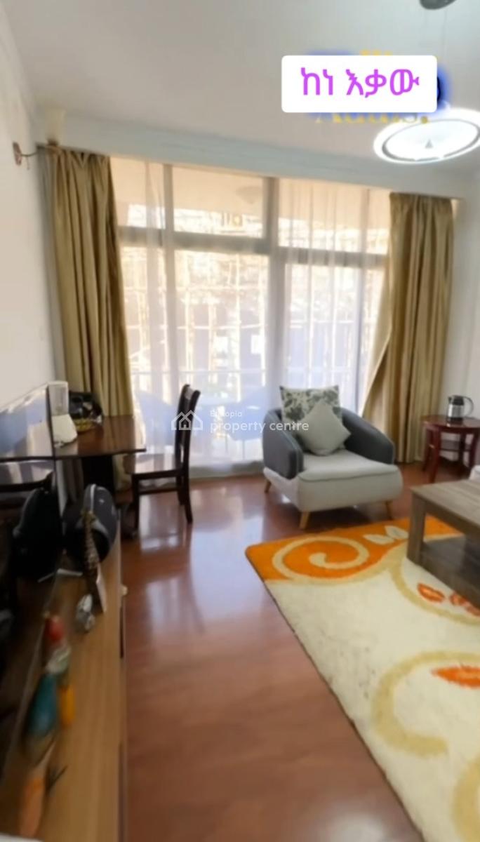 Bole Millennium, Fully Furnished Luxury Apartment ......90sqm, Bole Millennium, Bole, Addis Ababa, Apartment for Sale