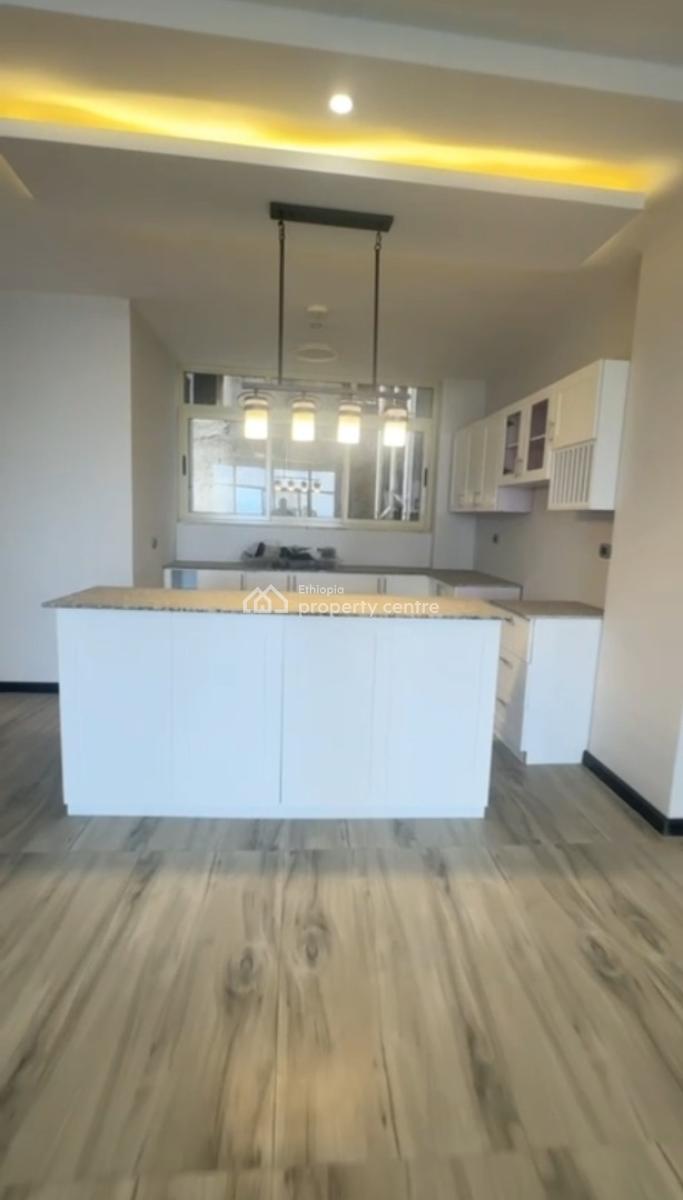Bole Welosefer, Luxury Apartment .......246sqm, Bole Welosefer, Garad Building, Bole, Addis Ababa, Apartment for Sale