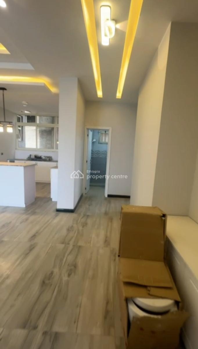 Bole Welosefer, Luxury Apartment .......246sqm, Bole Welosefer, Garad Building, Bole, Addis Ababa, Apartment for Sale