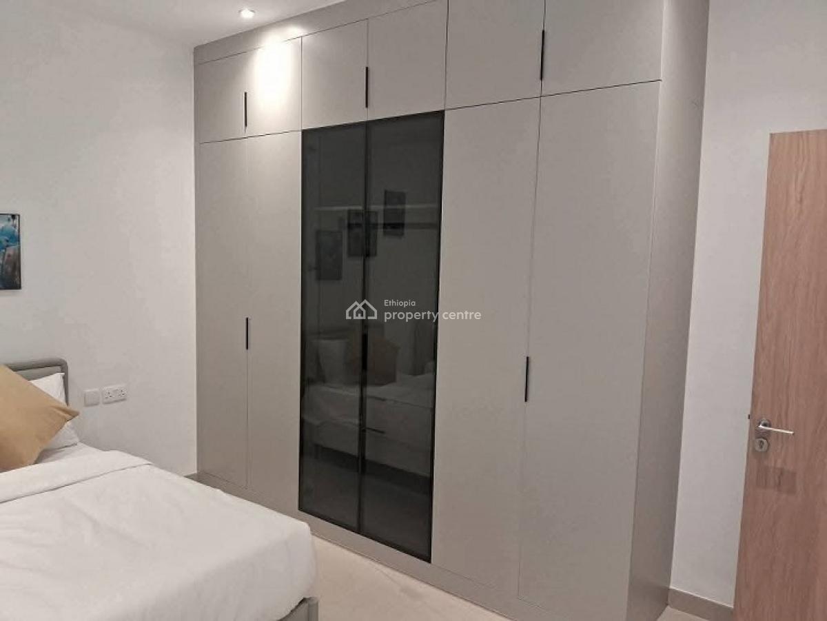Most Luxurious, High End Apartments with a Swimming Pool., Bole, Addis Ababa, Apartment for Rent