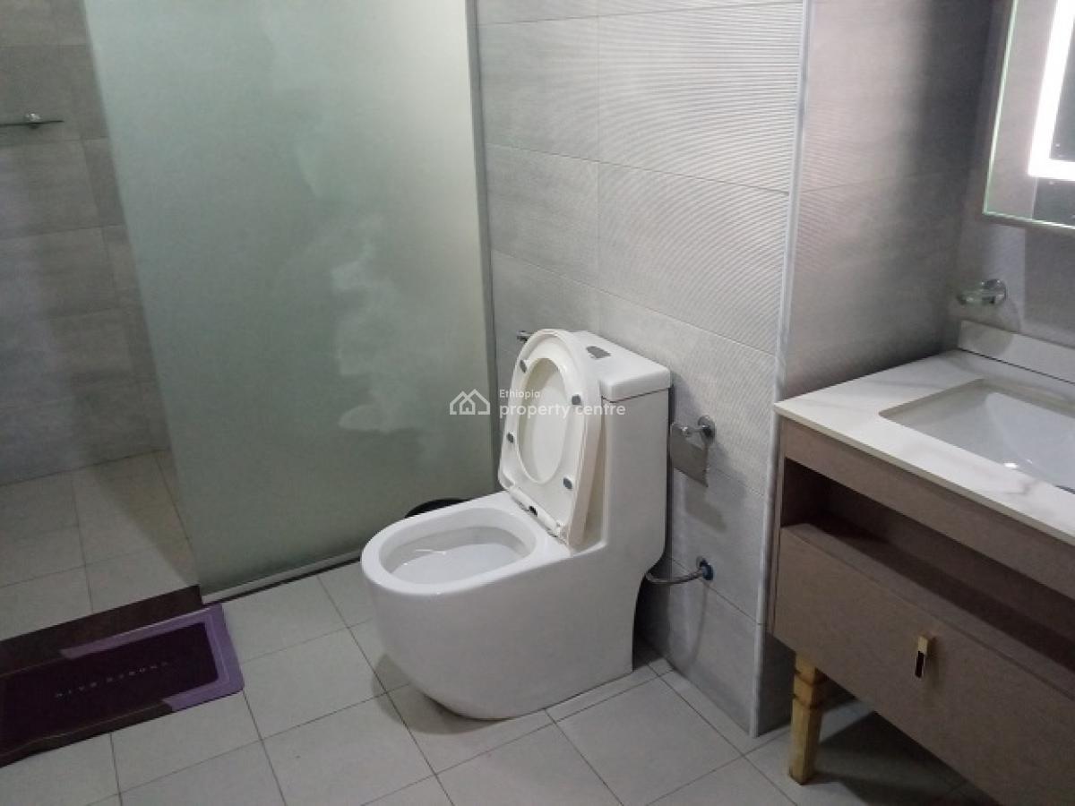 New and Fully Furnished 2 Bd Apartment, Nearby The African Union (au)., Nifas Silk-lafto, Addis Ababa, Apartment for Rent