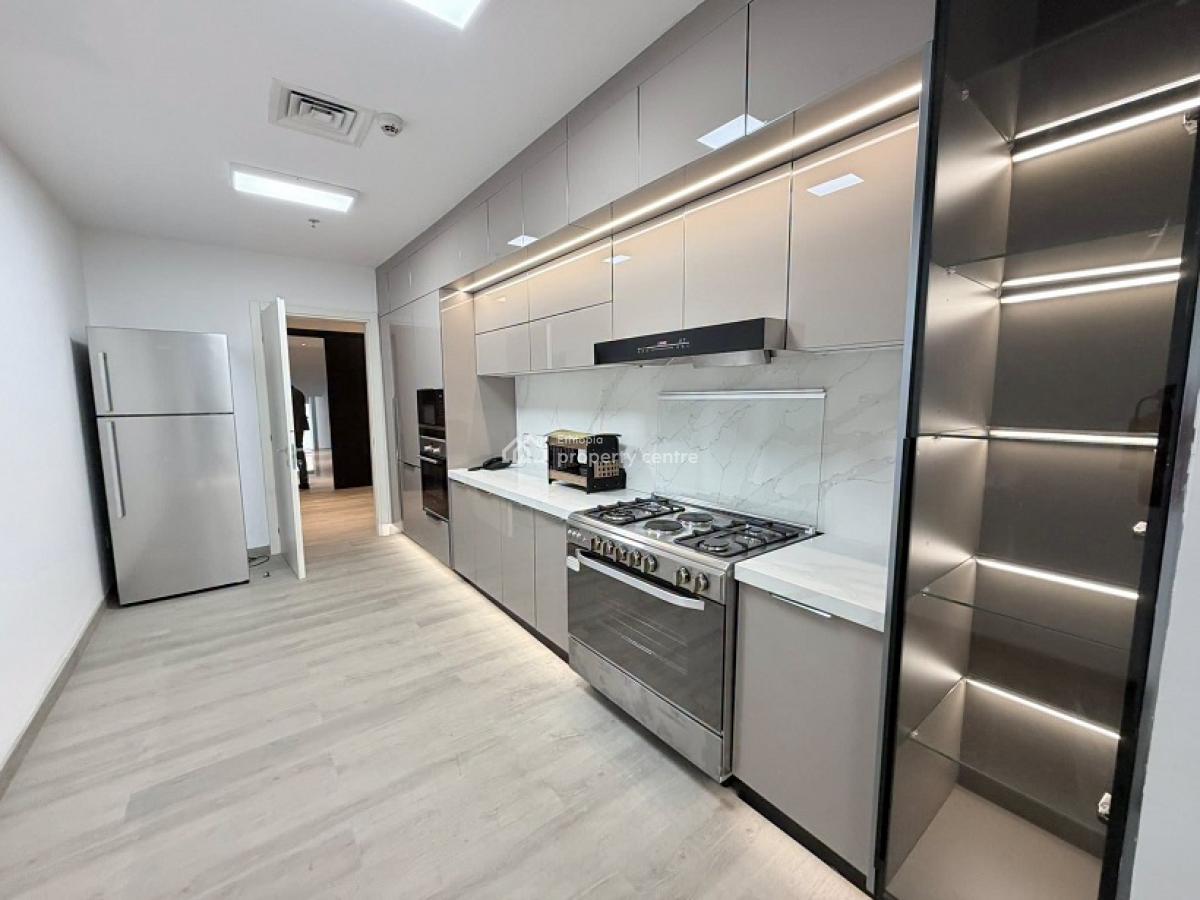 Extraordinary! Fully Furnished, Most Beautiful & Exceptional Apartment, Kazanchis, Addis Ababa, Apartment for Rent