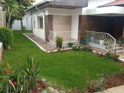 a Small and Beautiful Villa , at Bole., Bole, Addis Ababa, House for Rent