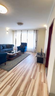 Kazanchis Hilton , Luxury Apartment .......141sqm, Kazanchis Hilton, Kirkos, Addis Ababa, Apartment for Sale