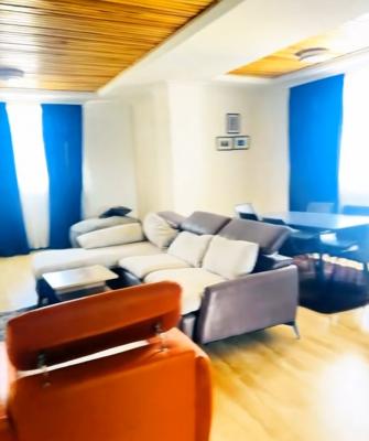 Bole-24, Fully Furnished Apartment .......156sqm, Bole-24, Bole, Addis Ababa, Apartment for Sale