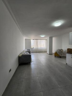 Furnished 3 Bedroom Apartment, Meskel Flower/ Dembel, Bole, Addis Ababa, Apartment for Sale