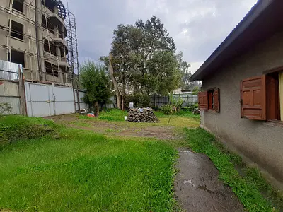 Old Land Property